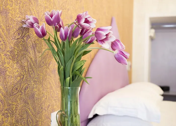 Maison d'hôtes Ripetta 4*